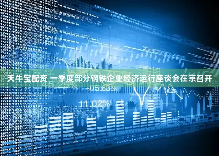 天牛宝配资 一季度部分钢铁企业经济运行座谈会在京召开