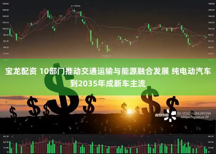 宝龙配资 10部门推动交通运输与能源融合发展 纯电动汽车到2035年成新车主流