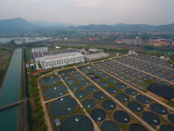 盈禾配资 培育外贸新动能 | 走出奢侈标签？国产鱼子酱跨界闯海捍卫“第一把交椅”