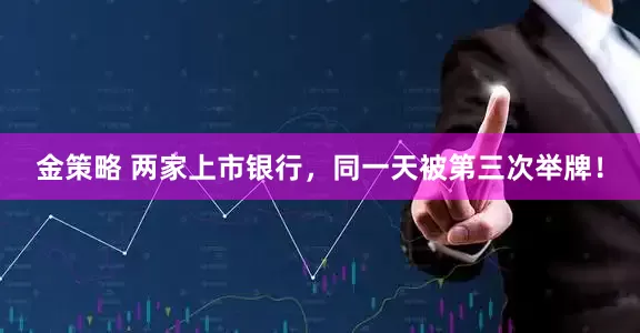 金策略 两家上市银行，同一天被第三次举牌！