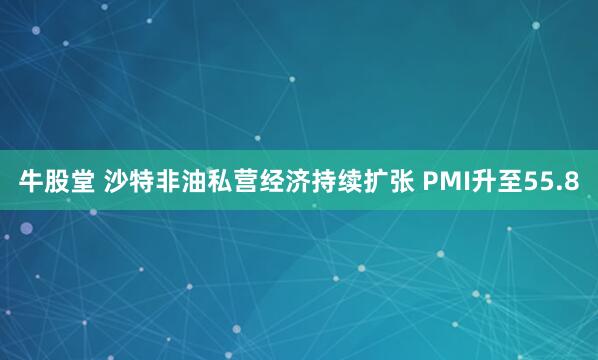 牛股堂 沙特非油私营经济持续扩张 PMI升至55.8