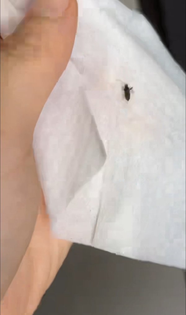 天成创亿 居民楼顶景观灯带“敞敞亮” 居民家中群虫“嗡嗡飞”