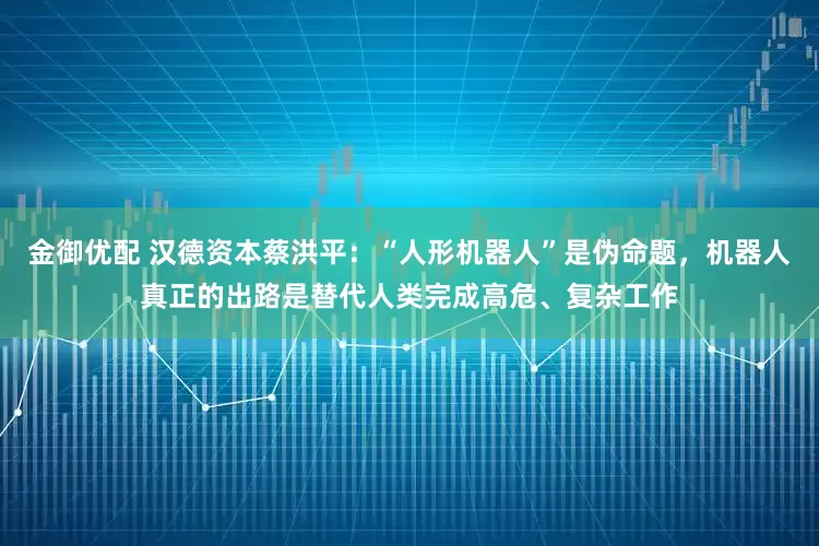金御优配 汉德资本蔡洪平：“人形机器人”是伪命题，机器人真正的出路是替代人类完成高危、复杂工作